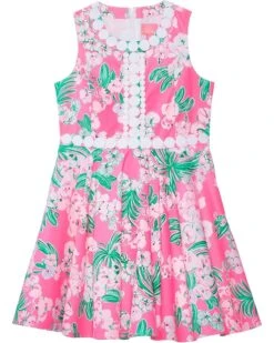 Lilly Pulitzer Kids Idala Dress (Toddler/Little Kids/Big Kids) | Dresses