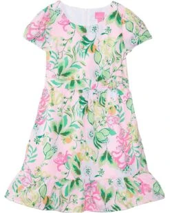 Lilly Pulitzer Kids Alexandra Dress (Toddler/Little Kids/Big Kids) | Dresses 5 Lilly Pulitzer Kids Alexandra Dress (Toddler/Little Kids/Big Kids) | Dresses -Modish Look Shop 81xdg77i16L. AC SR736920
